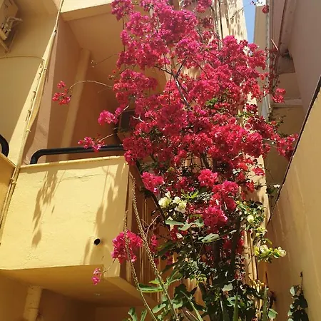 Drosia Georgioupoli